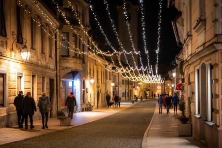 V Kamniku zasijale novoletne lučke (27)